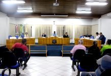 Resumo da Sessão Ordinária da Câmara Municipal em 29/05/2017