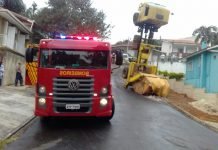 Imagem chamou a atenção em Ponta Grossa