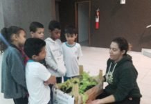 Escola Municipal Cesar Lattes realiza atividades na semana do Meio Ambiente