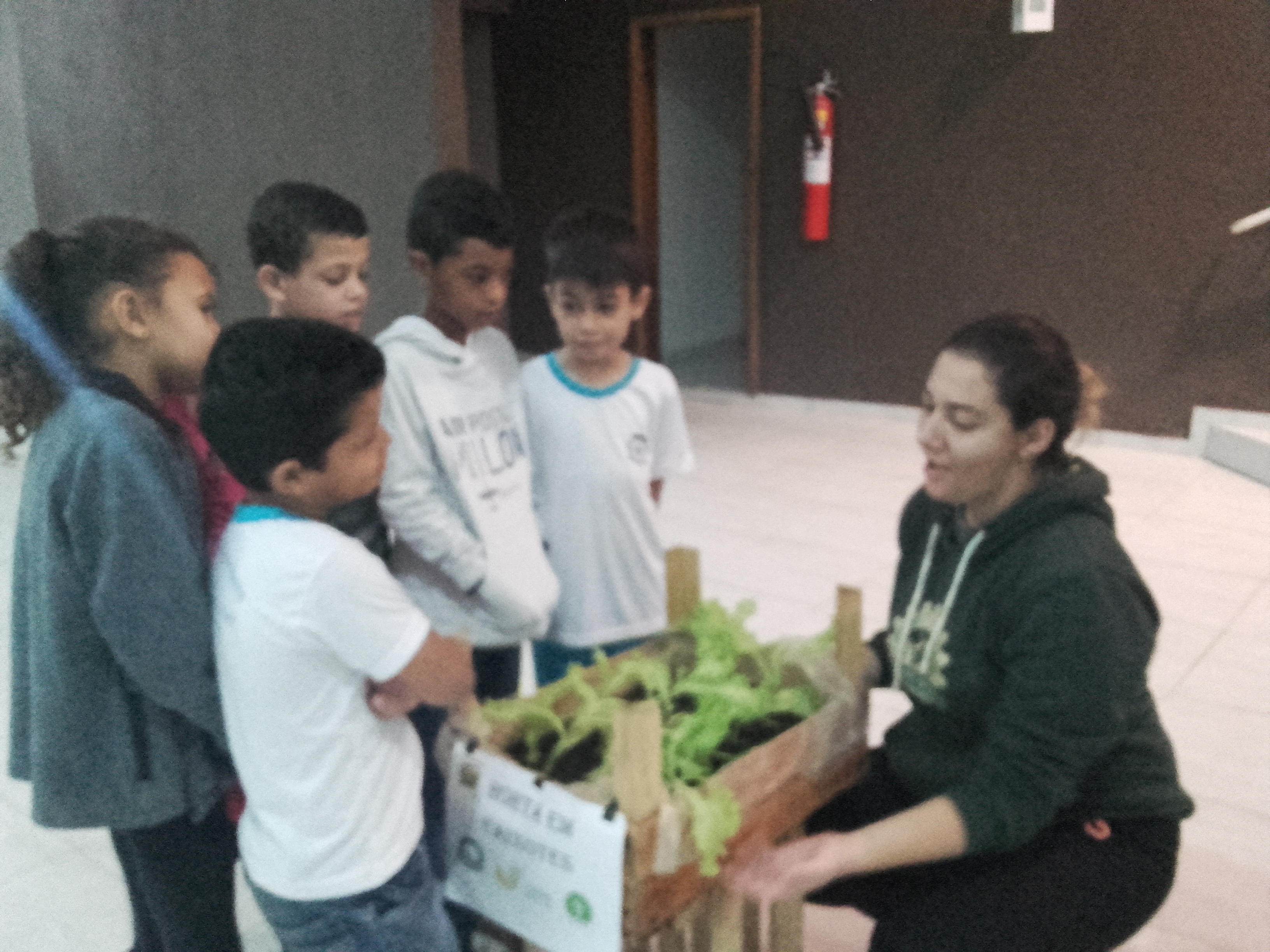 Escola Municipal Cesar Lattes Realiza Atividades Na Semana Do Meio Ambiente Jandaia Online