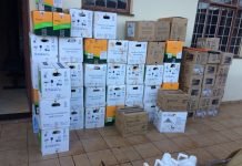 Seis são detidos em Jandaia do Sul após roubo de carga de agrotóxicos
