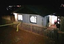 Homem é morto com tiros na cabeça em Apucarana