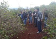 Restos mortais são encontrados enterrados em cafezal em Apucarana