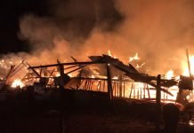 Porcos morrem carbonizados na zona rural