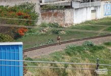Mulher é atacada na pista de caminhada em Jandaia do Sul