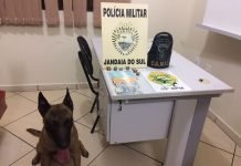 Quatro são detidos com cocaína em Jandaia do Sul