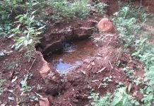 Ação para limpeza e plantio de árvores na nascente do Marumbizinho