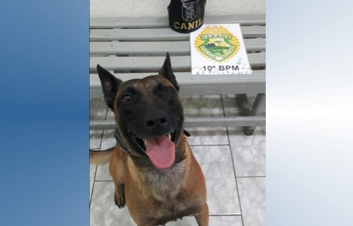 cao aço