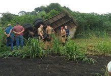 Caminhoneiro morre em acidente próximo a Novo Itacolomi