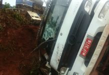 Carga de frangos é saqueada após acidente em Marilândia