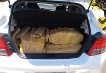 Motorista é preso com 120 kg de maconha no pedágio de Mandaguari