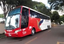 Passageiros de ônibus de turismo são assaltados em Mandaguari