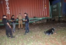 Homem morre atropelado por trem em Arapongas
