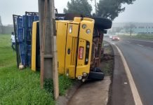 Caminhão carregado com frangos tomba em Apucarana