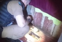 Policiais localizam 1,8 kg de maconha em residência de casal em Mandaguari