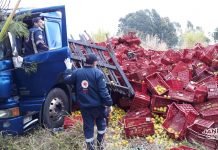 Caminhão carregado com laranjas capota na BR-376 em Jandaia do Sul