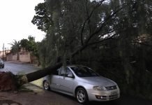 Temporal atingiu Apucarana na tarde desta quarta-feira