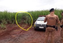 Corpo é encontrado em porta-malas de veículo em Cambira