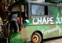 Ônibus com logo da Chape colide em árvore em Maringá