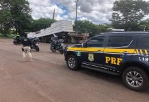 Motociclistas são flagrados a 179 km/h em Campo Mourão