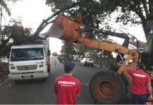 Árvore cai sobre caminhão estacionado