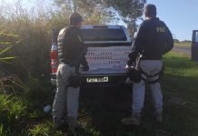 PRF apreende caminhonetes carregadas com cigarros em Mandaguari