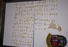 Cidadão localiza 195 pedras de crack em quintal