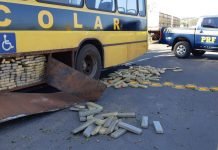 PRF apreende quase uma tonelada de maconha em falso ônibus escolar
