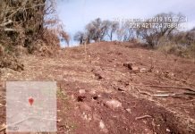 Crime ambiental é registrado em Jandaia do Sul