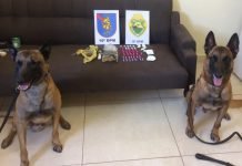 Polícia cumpre mandados de busca em Kaloré