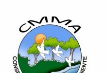 Departamento de Fomento à Agropecuária e Meio Ambiente prepara licitação para compra de máquina trituradora