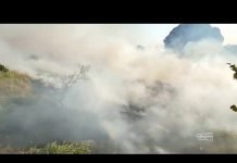 Bombeiros combatem incêndio em pastagem na região do Nova Jandaia