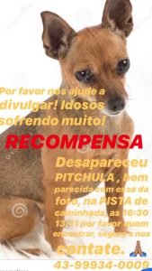 01f21954-7d64-427e-95da-0a19fe65584d