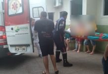 Família é atacada por abelhas em Borrazópolis