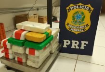 Mais uma apreensão de drogas é realizada pela PRF em Mandaguari