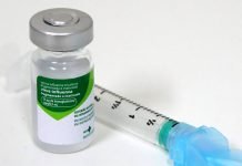Vacinação contra gripe começa na segunda (23)