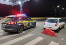 PRF prende casal com quase 100 quilos de maconha em Mandaguari