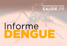 Paraná tem 88 mil casos confirmados de dengue