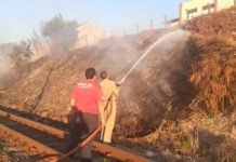 Incêndio em vegetação