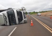 Abelha provoca tombamento de carreta entre Jandaia e Cambira