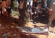 Homem de 30 anos mata irmão de 41 em Apucarana