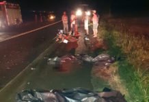 Colisão entre moto e trator mata dois jovens em Lidianópolis