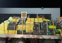 Ação conjunta das Polícias de Maringá apreende 6 mil Kg de droga