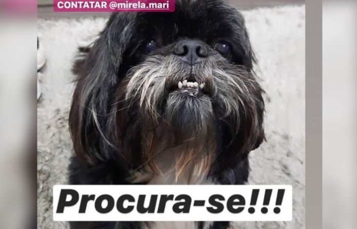 an des