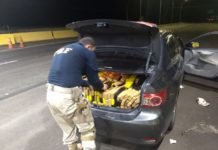 Jandaia:: PRF apreende maconha e recupera veículo roubado. Veja o Vídeo