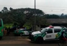 Polícia Ambiental recolhe 153 cobras em Mandaguari
