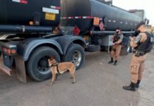 Polícia realiza abordagens nas rodovias em Jandaia e Apucarana