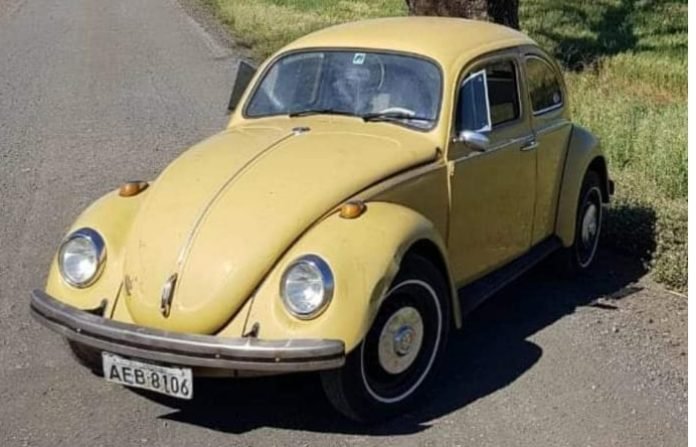fusca