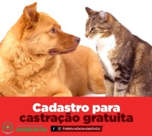 516e1b4e-f30b-41c6-b196-84c8903164de