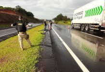 Homem morre atropelado na BR-376 em Cambira